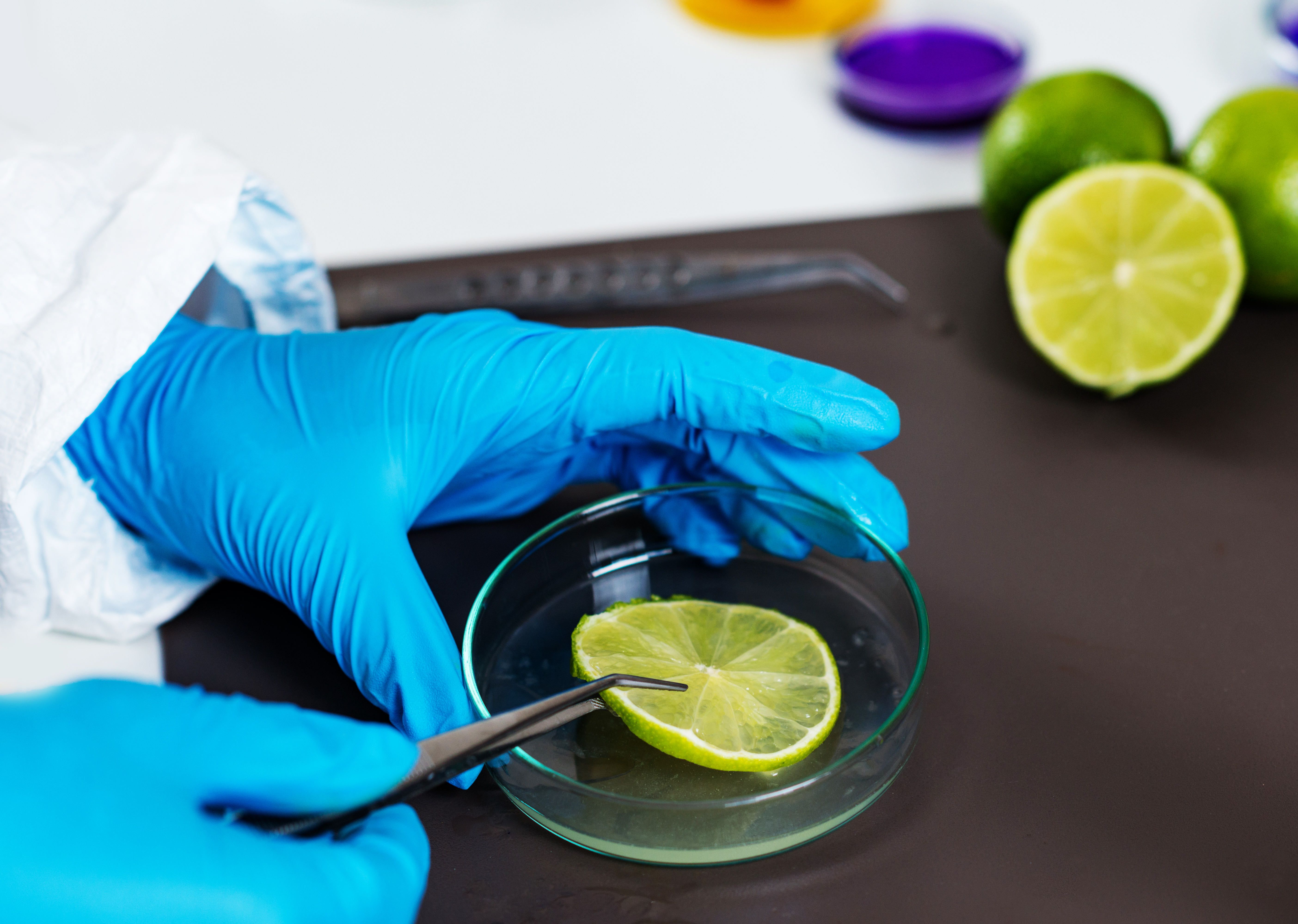 Food and Beverage-testing-lab-quipment-manufacturer-UK-dover-scientific